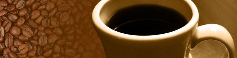World Gourmet Coffee Guide Espresso Machine